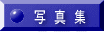 �ʐ^�W