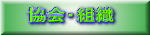 �ʐ^�W